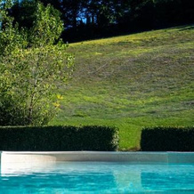 Tenuta Di Ghizzano, Печчоли — фото 2