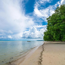 Green Wood Beach Resort, 斯瓦拉杰德维普岛 — 照片 2