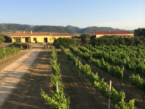 Agriturismo Campesi, 阿连特茹 — 照片 1