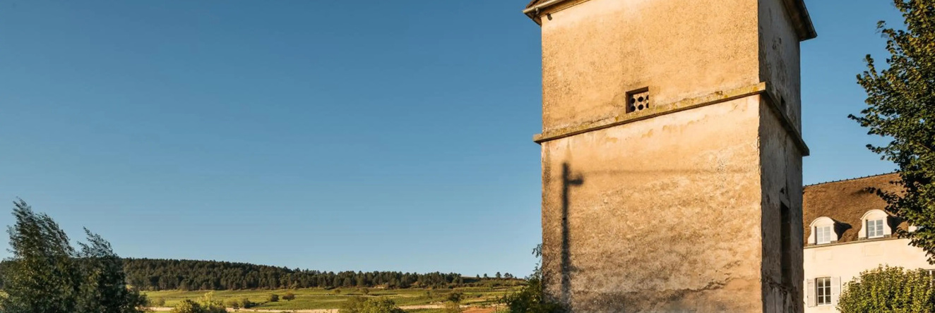 Hôtel Le Clos du Colombier 1817 Vignes & Spa, 波马尔 — 照片 1