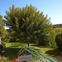 Gite Monpazier, 4 pièces, 6 personnes - FR-1-616-173, Monpazier — photo 3