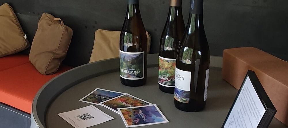 Terrabona Nature & Vineyards, 博阿文图拉 — 照片 1