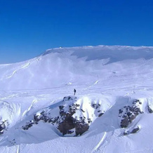 Alpine Backpackers Lodge, 奥哈库内 — 照片 3
