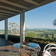 Cedia at Byron Bay Hinterland, Bangalow — photo 5