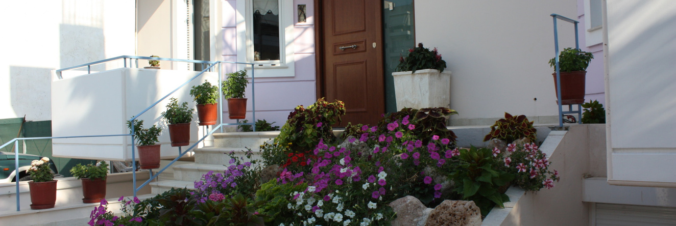 Veggie Garden Athens Guest house, Elliniko-Argyroupoli — photo 1