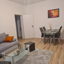 Apartments Irena Burkert, Chemnitz — photo 3