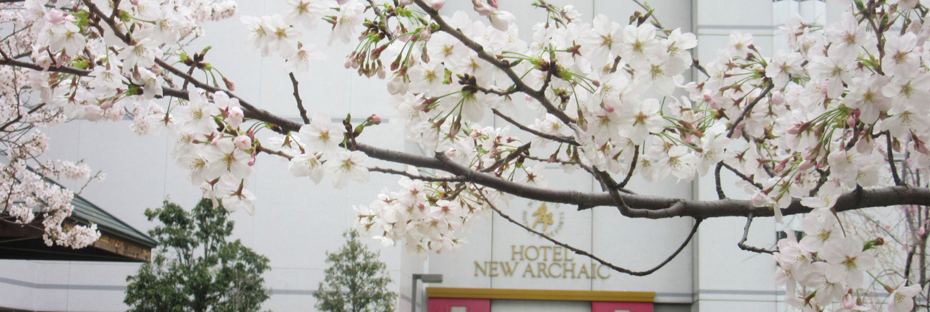 Miyako Hotel Amagasaki, 尼崎 — 照片 1
