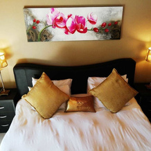 Willow Manor Guest House Brits, 布里茨 — 照片 3
