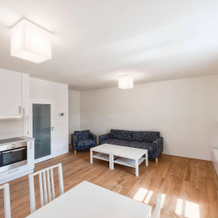 Theresian Apartment, 奥斯特鲁日纳 — 照片 3