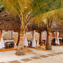 Mzima Beach Resort, Диани-Бич — фото 4