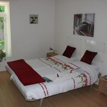 Desokkeraai - Sauna & Hottub privé appartement in schuur, 埃特霍森 — 照片 3
