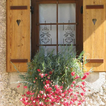 House Gosteče, Mozirje — photo 2