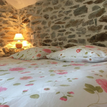 B & B La Source du Bonheur, 里约佩鲁 — 照片 3