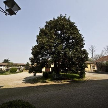 Agriturismo Casa Grande, 巴西廖 — 照片 5
