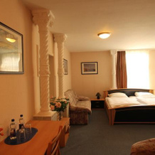 Hotel DIBA, 格明根 — 照片 2