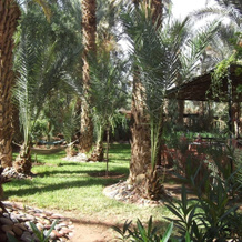 Riad Marrat, Загора — фото 3