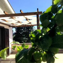 B&B Prato San Lorenzo, 诺恰诺 — 照片 4