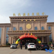 Kaiyuan Hot Spring Resort, Дежоу — фото 4