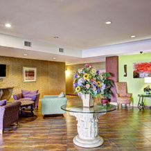 Comfort Suites Copperas Cove, 科珀拉斯科夫 — 照片 2