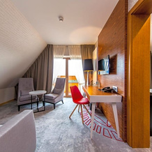 Hotel Kopieniec Fizjo Med Spa, 穆尔扎西赫莱 — 照片 4