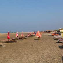 Oyo Rooms Morjim Beach Roadside, Морджим — фото 3