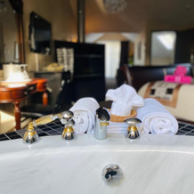 Excelsior Hotel Spa Villegiature, 圣阿黛尔 — 照片 3