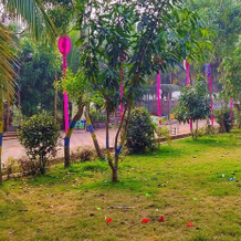 Janardan Coco Palms Resort, Конарк — фото 2