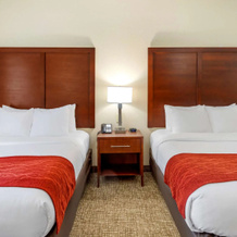 Comfort Inn & Suites Canton Riverstone Area, Canton — photo 5