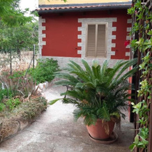 Bed and Breakfast Dolce Sorriso, 滨海波利尼亚诺 — 照片 3