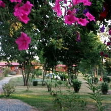 Camping de Sagnat, 加唐普河畔贝西讷 — 照片 3