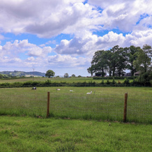 Quantock Barn, 戈尼通 — 照片 5