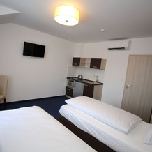 Wellness Penzion U Gigantu, Plzen — photo 2
