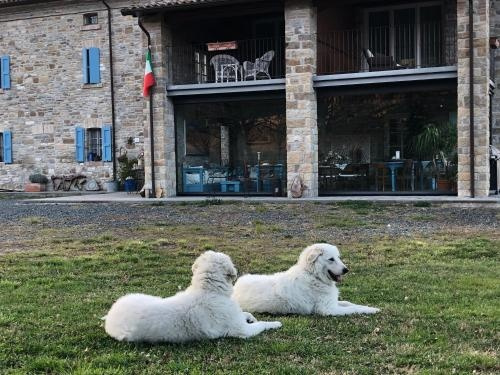 La Locanda Nel Vento, Калестано — фото 1