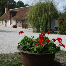 Gîte Cour-Cheverny, 2 pièces, 2 personnes - FR-1-491-36, 库尔舍韦尼 — 照片 4