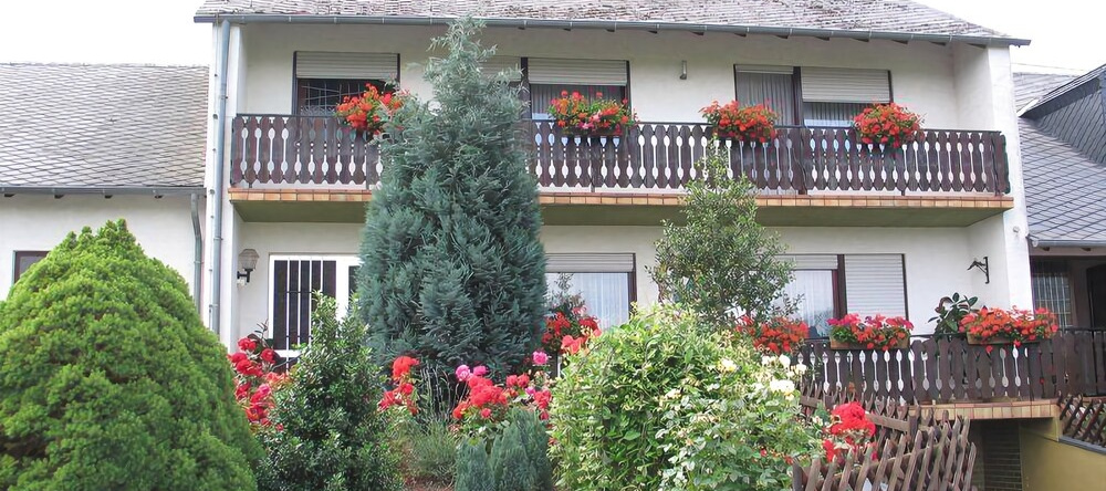 Pension Und Weingut Moselblick, Браунеберг — фото 1
