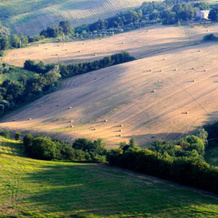 Agriturismo Fara, 蒙特焦尔达诺 — 照片 4