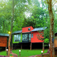 Ranches Jungle Beats, Nilambur — photo 2