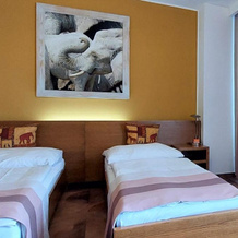 Afrika Hotel, Фридек-Мистек — фото 5
