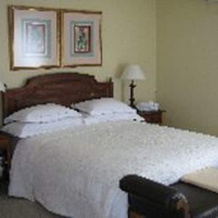 Villa Afrique - Guest House, 开普敦 — 照片 4