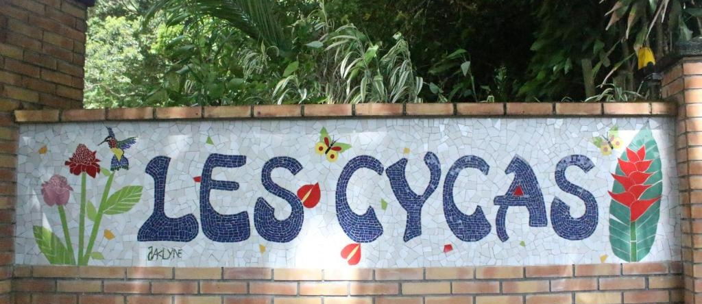 Les Cycas, Сен-Клод — фото 1