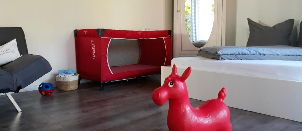 Schöne EinZimmer Wohnung Zwischen Bodensee und Allgäu, Neukirch — photo 1