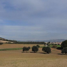 Agriturismo Sa Scalitta, 卡尔博尼亚 — 照片 4