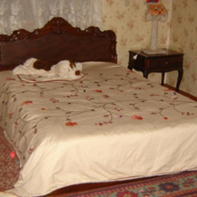 Guesthouse Lira, 沙拉乌里 — 照片 2