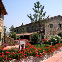 Fattoria Belvedere, Монтекатини-Вал-ди-Чечина — фото 2