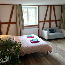 Forest Retreat in Vosges, 上施泰因巴赫 — 照片 3