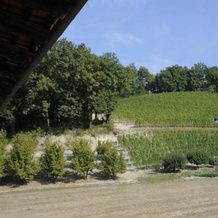 Agriturismo La Biòca, 塞拉伦加达尔巴 — 照片 5