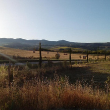 Carlo's Country House, Castellina Marittima — photo 5
