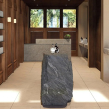 Siari Riviera Nayarit, A Ritz-Carlton Reserve, Пеньита-де-Хальтемба — фото 2