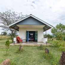Masai Mara Safari Lodge Hotel, 马拉里安塔 — 照片 2