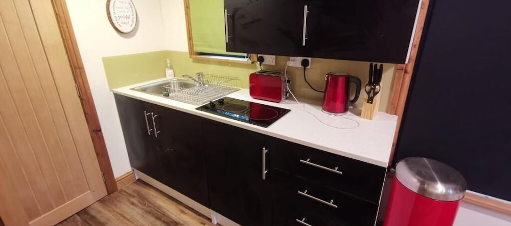 Tiny House-Hot Tub-St Clears-Pembrokeshire-Tenby, 梅德里姆 — 照片 1